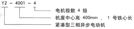 YR系列(H355-1000)高压YRKK5003-10三相异步电机西安西玛电机型号说明